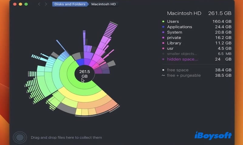 daisydisk-main-interface