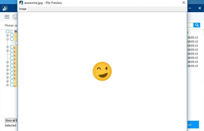 preview feature of iBoysoft data recovery