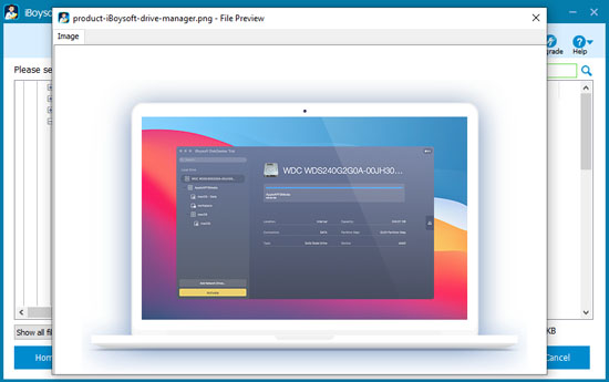 preview the found files in iBoysoft Data Recovery